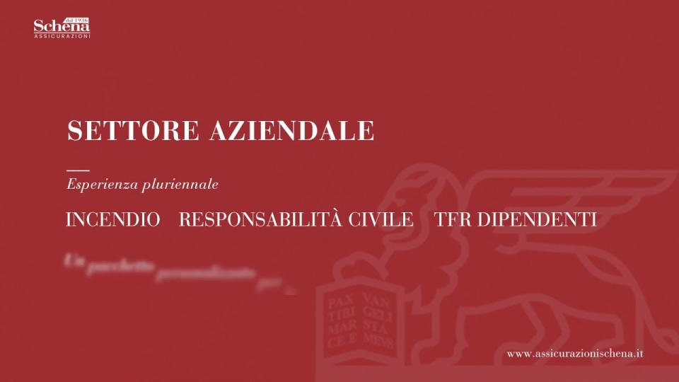 Embedded thumbnail for Partner di vita - Domenico Zuelli